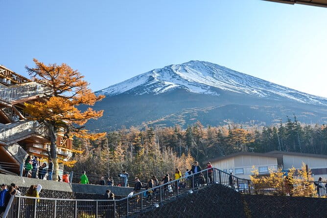 Private Customizable Tour in Mount Fuji - Vehicle Information