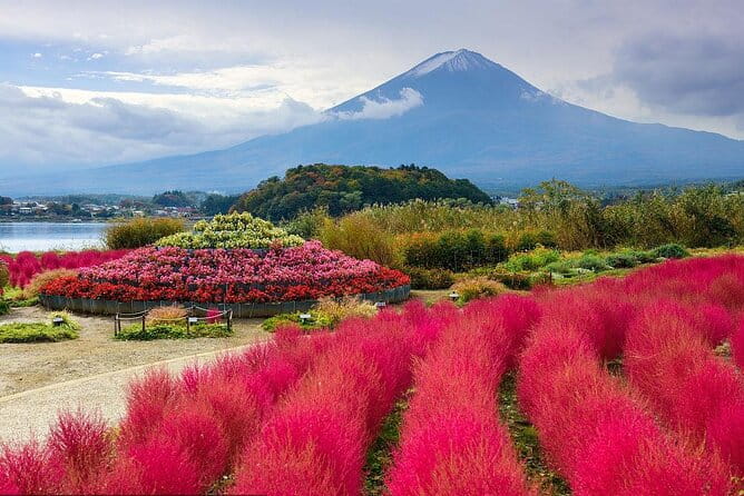 Private Customizable Tour in Mount Fuji - Accessibility and Participation