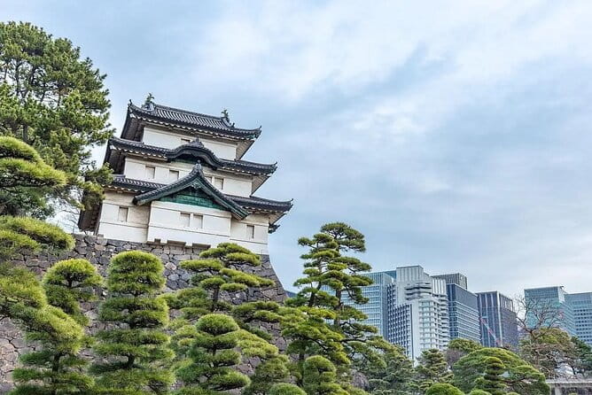 Private Customizable Tour in Tokyo - How to Book Your Tour