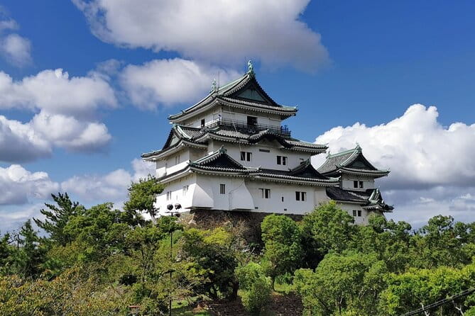 Private Customizable Tour in Wakayama - Transportation and Vehicle Information