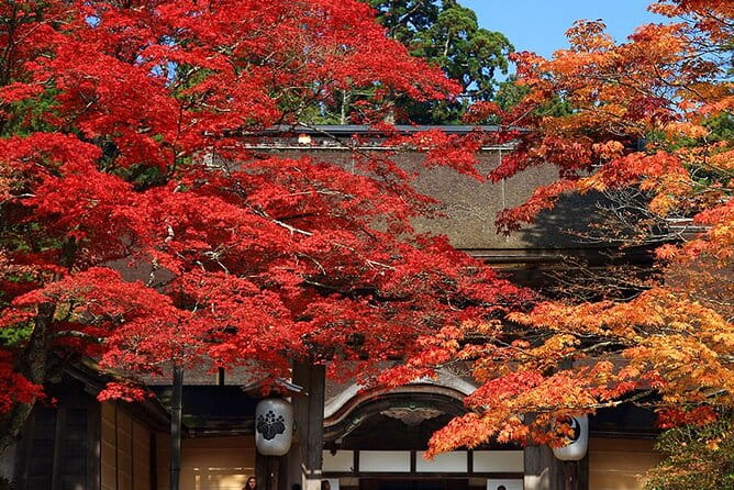 Private Customizable Tour in Wakayama - What to Expect on the Private Tour