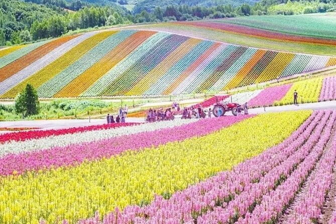 Private Day Tour to Hokkaido Noboribetsu and Lake Toya by Car - The Sum Up