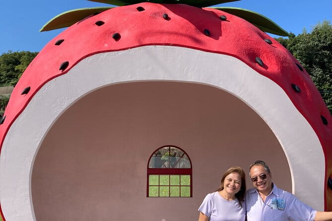 Private Full Day Tour From Fukuoka to Nagasaki - Customer Experience