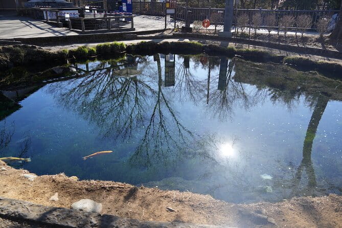 Private Full Day Tour in Mt. Fuji With Pickup - Customizing Your Experience