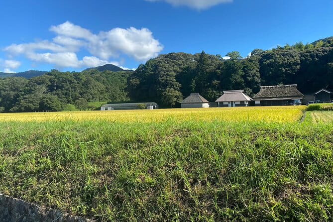 Private Guided Tour With a Rental Electric Bike or Tuktuk in Ise - Highlights of the Private Guided Tour