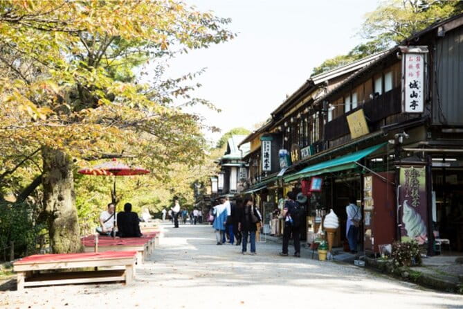Private Half-Day Kanazawa Walking Tour and Historical Photo Spot - Overview of the Private Tour Experience