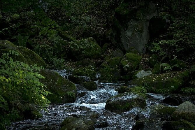 Private Karuizawa, Nagano Tour - Bilingual Chauffeur - Customizing Your Experience