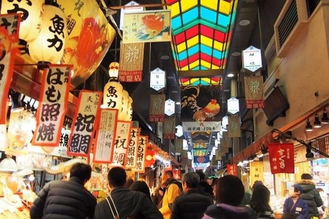 Private Kyoto Custom One Day Tour by Chartered Vehicle - Vehicle and Accessibility