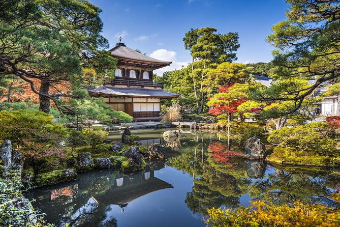 Private Kyoto Tour for Families With a Local, 100% Personalized - Reviews Highlights
