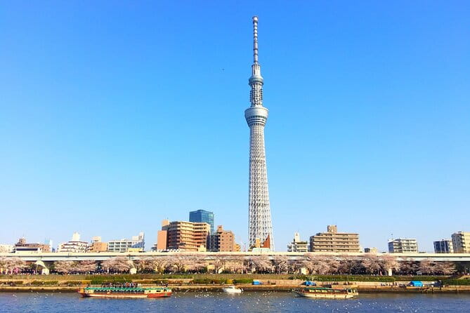 Private One Day Tour in Tokyo With Limousine and Driver - Additional Support