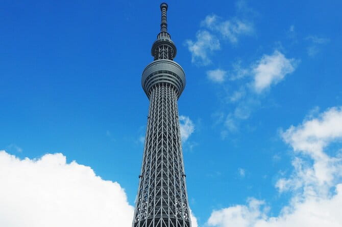 Private One Day Tour in Tokyo With Limousine and Driver - Availability and Booking