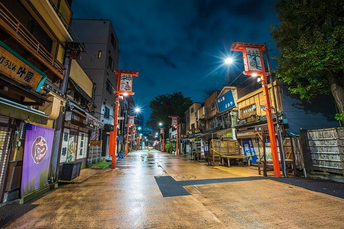 Private One Day Tour in Tokyo With Limousine and Driver - Tour Inclusions