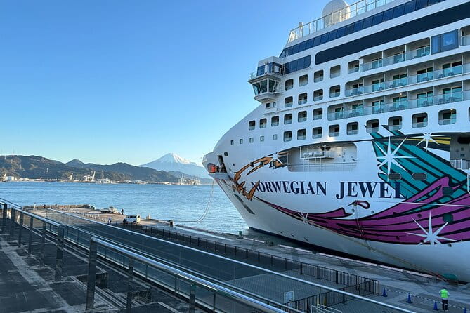 Private Sightseeing Tour From Shimizu Port / Sedan Taxi - Guided by English-speaking Professionals