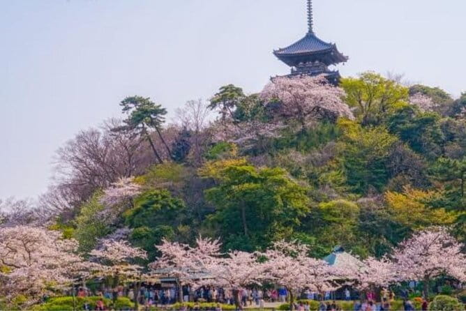 Private Tour Guide Yokohama With a Local: Kickstart Your Trip, Personalized - Testimonials From Previous Guests