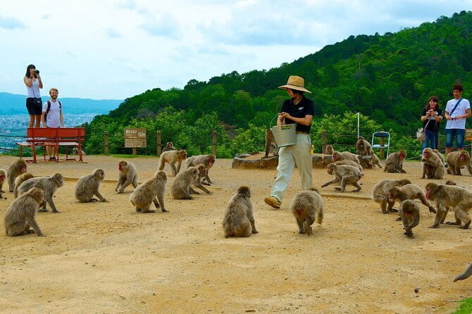 Private Tour to Arashiyama Monkey Park and Arashiyama Highlights - Key Points