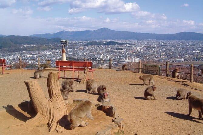 Private Tour to Arashiyama Monkey Park and Arashiyama Highlights - Itinerary and Tour Schedule