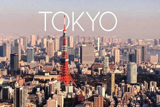 Private Tour to Mount Fuji & Hakone With English Speaking Guide - Customer Reviews and Feedback