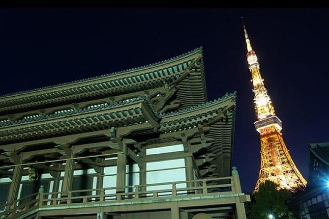 Private Tour Tokyo - the Harmony of Modernity and Tradition - Navigating the Futuristic Cityscapes