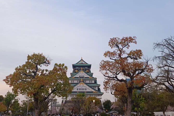 Private Transfer From Kansai International Airport to Osaka - Accessibility and Participation