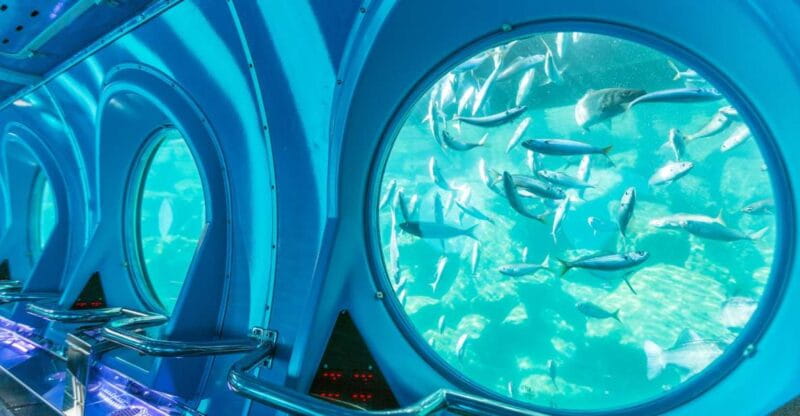 Puerto De Mogán: Submarine Tour - Nearby Attractions to Explore