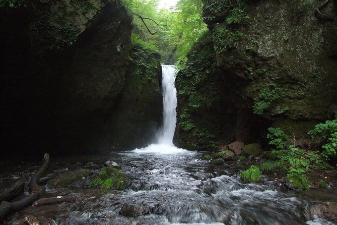 Relax and Refresh in Karuizawa Forest! Shinanoji Down Trekking Around Two People - Meeting and End Points