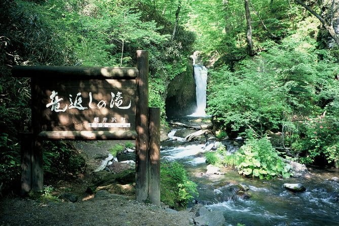 Relax and Refresh in Karuizawa Forest! Shinanoji Down Trekking Around Two People - Group Size and Pricing Details