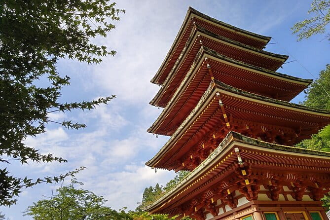 Relaxed Nara Tour From Kyoto Hasedera and Muroji Temples - Pickup and Meeting Details