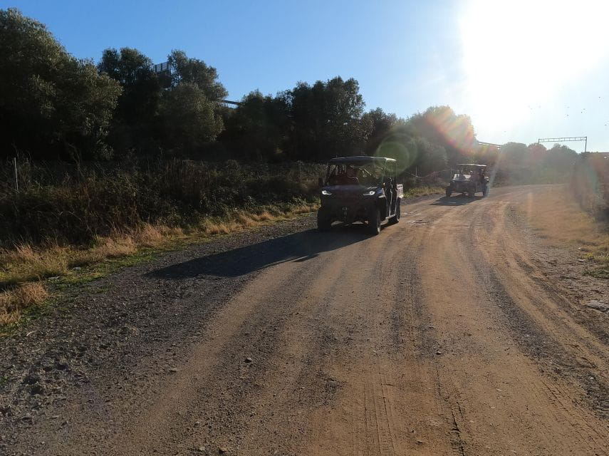Salou: Kids Buggy Driving Experience in Safe Environment - Age and Weight Restrictions