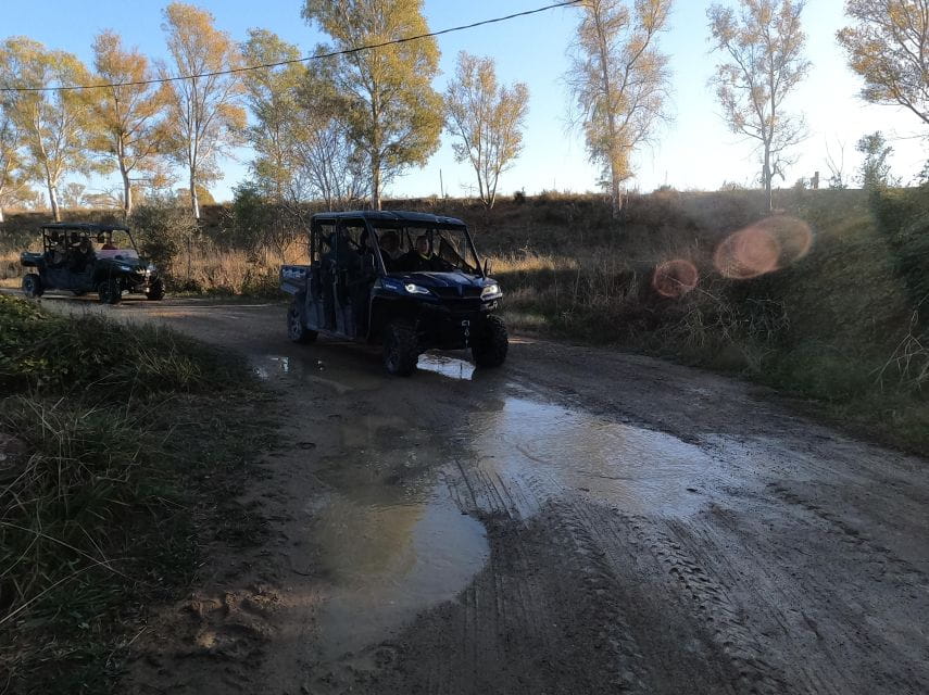 Salou: Kids Buggy Driving Experience in Safe Environment - Customer Feedback and Ratings