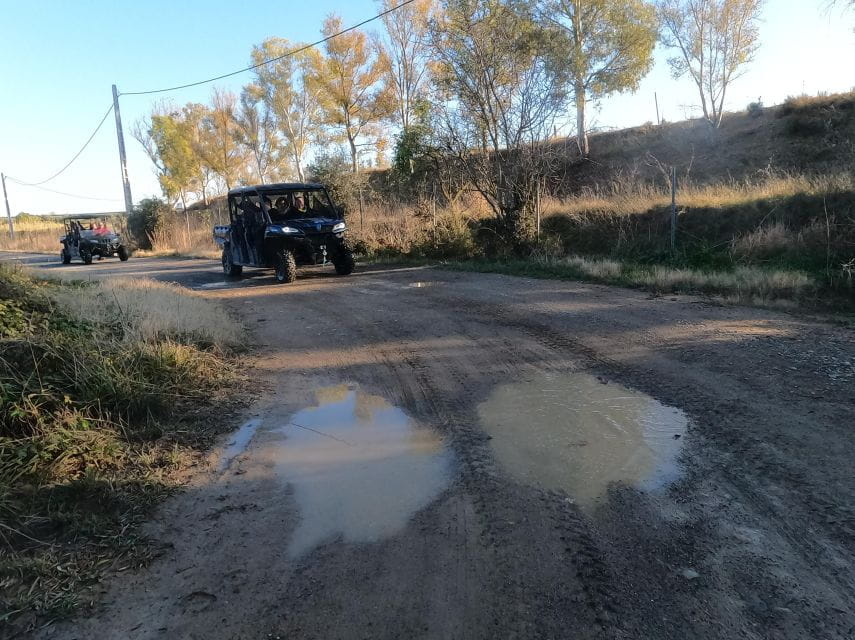 Salou: Kids Buggy Driving Experience in Safe Environment - Things To Known