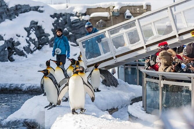Sapporo Golden Route Stroll Walking Tour - Booking and Availability