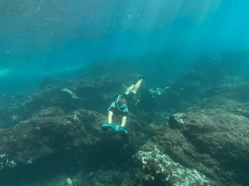 Scooter Fun Snorcel Tour in Turtle Area - Meeting Point