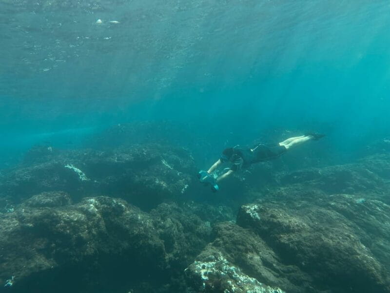 Scooter Fun Snorcel Tour in Turtle Area - What to Bring