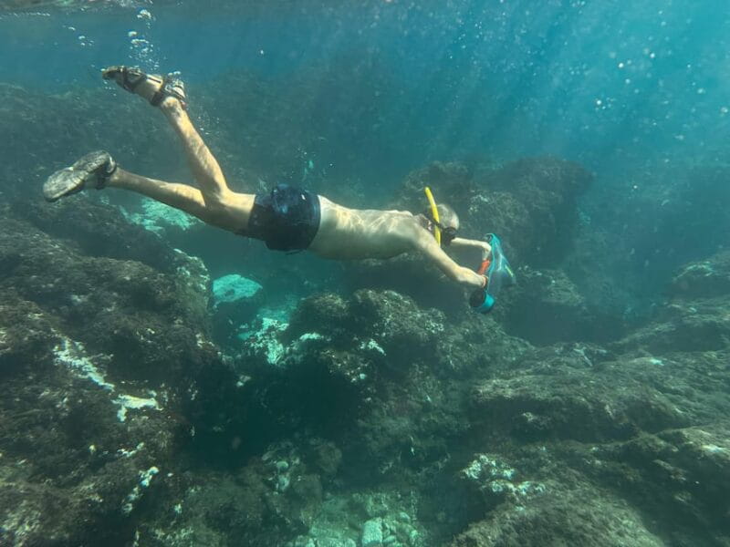 Scooter Fun Snorcel Tour in Turtle Area - Customer Reviews