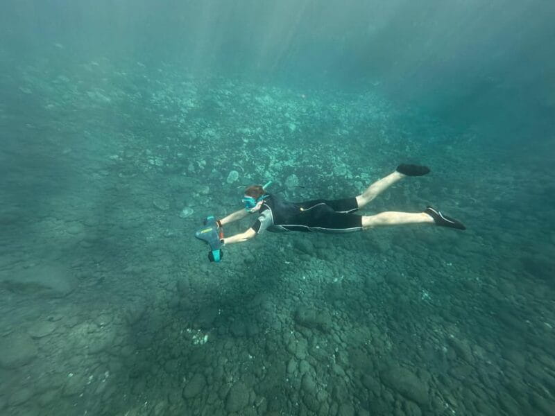 Scooter Fun Snorcel Tour in Turtle Area - Booking Information