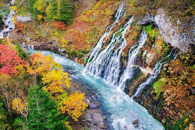 Seasonal Day Tour Asahiyama Zoo and Forest Fairy From Sapporo - Key Points