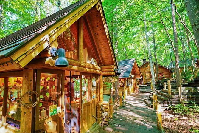 Seasonal Day Tour Asahiyama Zoo and Forest Fairy From Sapporo - Tour Overview