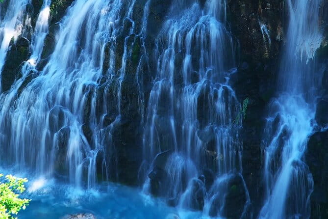 Seasonal Day Tour Asahiyama Zoo and Forest Fairy From Sapporo - Accessibility and Participation