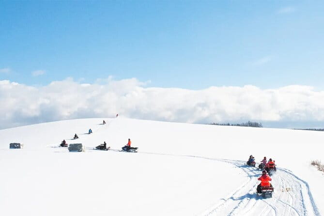 Seasonal Day Tour Asahiyama Zoo and Forest Fairy From Sapporo - Discovering the Forest Fairy