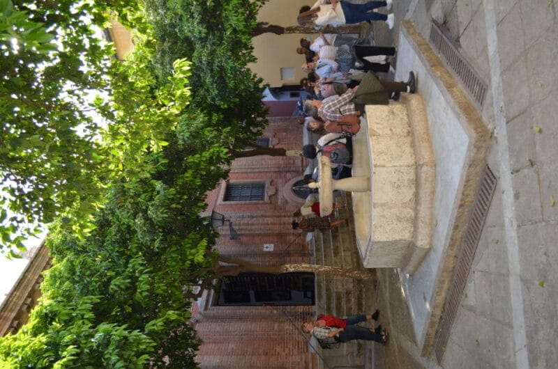 Seville: Cathedral Guided Tour W/ VR City Tour & Roof Lunch - Key Points