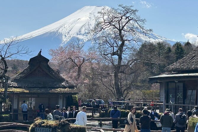 Shuttle Van Tour Mt.Fuji From Tokyo and Yokohama - Overview of the Shuttle Van Tour