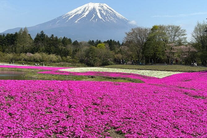 Shuttle Van Tour Mt.Fuji From Tokyo and Yokohama - Booking Information and Policies