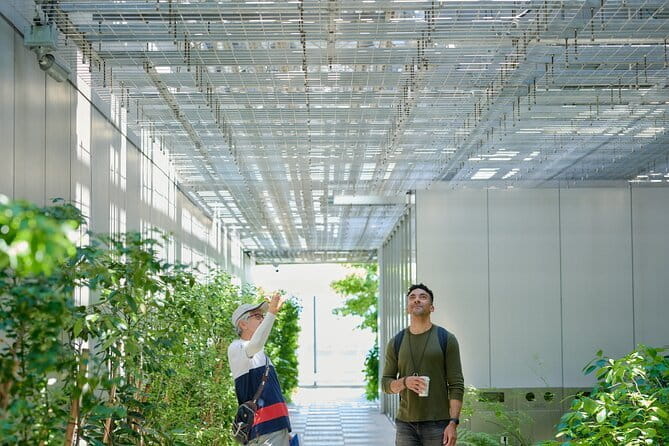 Small-Group Architecture Tour in Ginza, Tokyo - Key Points