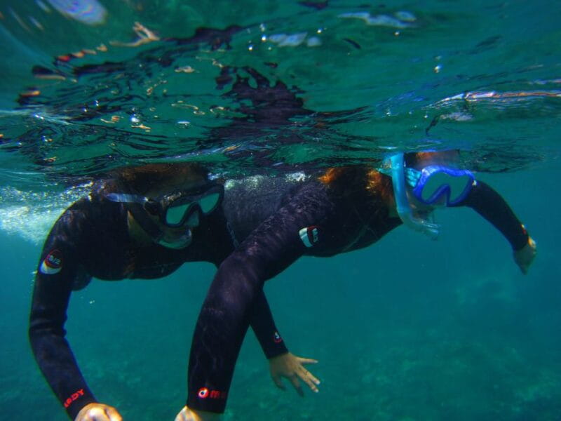 Snorkeling in a Volcanic Bay - Overview of Snorkeling Experience