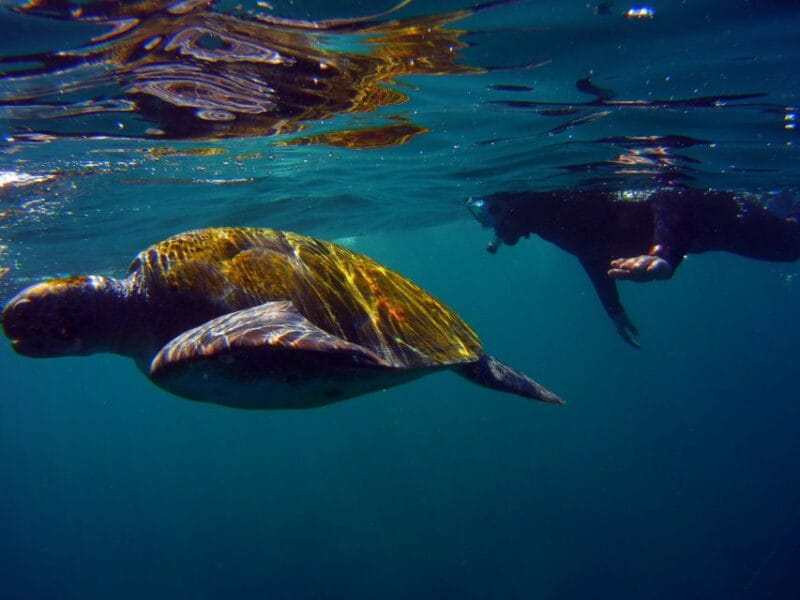 Snorkeling in a Volcanic Bay - Snorkeling Equipment Provided