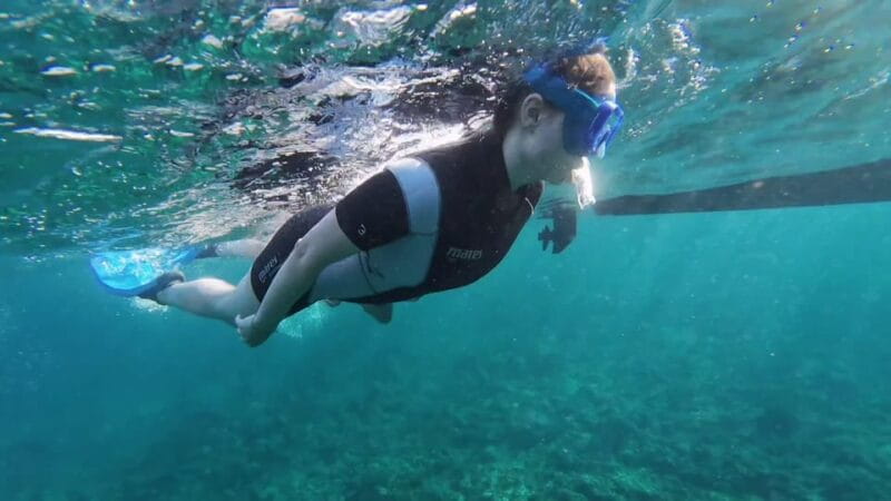 Snorkeling in a Volcanic Bay - Meeting Point Details