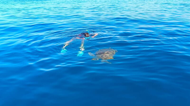 Snorkeling in a Volcanic Bay - Booking and Cancellation Policy