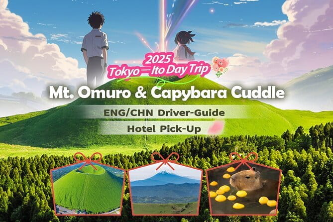 Snow Experience at Mt.Fuji, Hakone Pirate Ship & Gotemba Premium Outlet - Indulging in the Gotemba Premium Outlets Shopping Experience