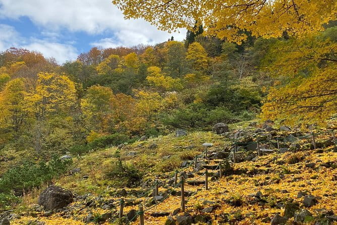Snow Monkey and Shibu Onsen Afternoon Group Tour From Myoko Kogen - Whats Included in Your Tour