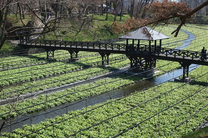 Snow Monkey, Hokusai & Sake: A Perfect Day in Nagano - The Sum Up